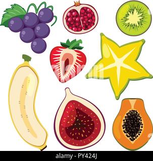 Ein Slet von geschnittenes Obst Abbildung Stock Vektor