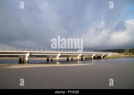 Die neue Pont Briwet Brücke (2014) Durchführung der Cambrian Coast Railway Line und Verkehr über die Dwyryd Estuary, North Wales Stockfoto