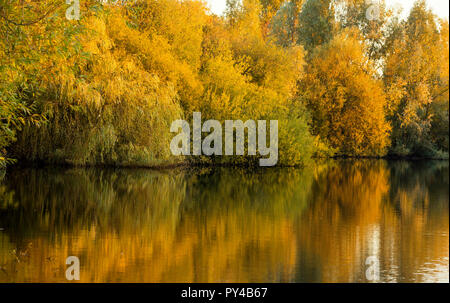 Herbst Reflexionen an Colwick Country Park in Nottingham, Nottinghamshire England Großbritannien Stockfoto