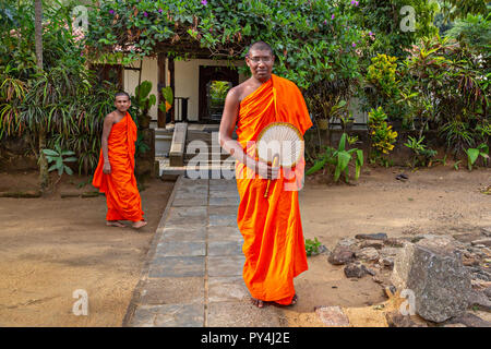 Mönche im Tempel des Zahns in Kandy, Sri Lanka. Stockfoto