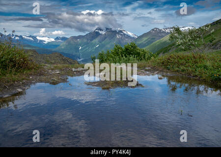 Kleiner Teich entlang den Spuren der '98 aus dem Richardson Highway in der Nähe von Valdez, Alaska. Dies war ein original Trail der Klondike Gold Rush, und geht durch Stockfoto