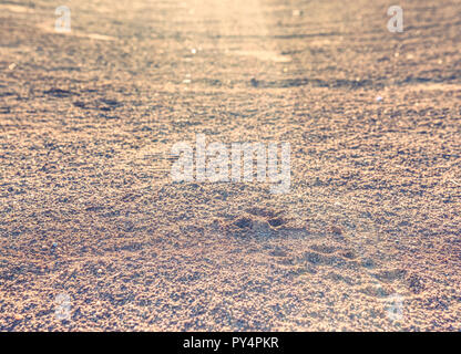 Footballer schuhe Fußspur im Sportplatz Oberfläche. Footprints und Dienstleistungsmarken auf einem außerhalb Tennisplatz details Stockfoto