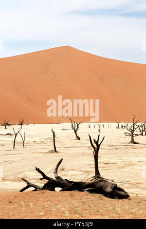 Deadvlei Namibia - Bäume tot für 8000 Jahre in den Dünen der Namib Wüste Namib Naukluft National Park, Namibia Stockfoto