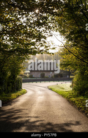 Traditionellen strohgedeckten Cotswold Cottage mit Hintergrundbeleuchtung und von Bäumen entlang Dyers Lane in der frühen Morgensonne gerahmt Stockfoto