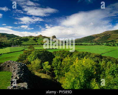 Blick WSW von Castell y Bere von Dysynni Tal mit Craig Yr Aderyn (Vögel "Rock) Zentrum L. Die Afon Dysynni fließt SW von Tal-y-llyn See zu Tywyn. Stockfoto