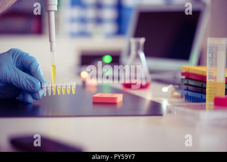 PCR-Streifen in der genetischen Labor Stockfoto