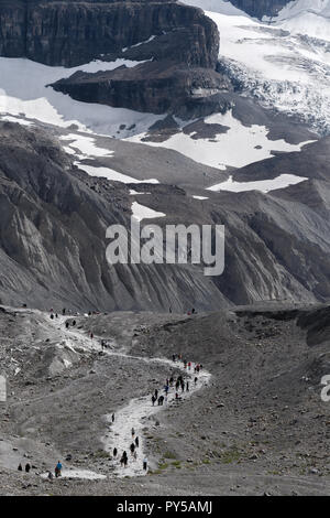 Menschen auf dem Weg zum Athabasca Gletscher im Jasper National Park, Alberta Stockfoto