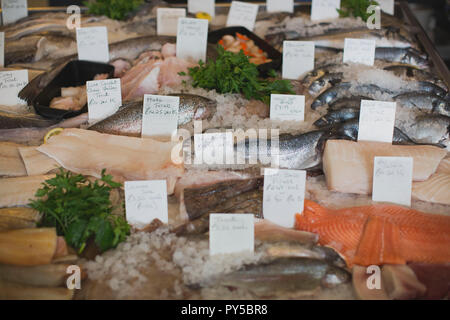 Frische Fische auf einem Zähler in einer fischhändler in Bristol, Großbritannien Stockfoto