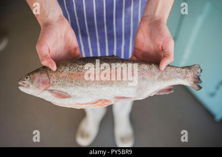 Fischhändler halten einer frischen Fisch in zwei Händen einen Kunden zu zeigen. Stockfoto