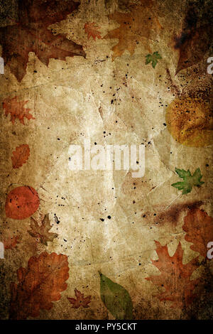 Alte vintage Nass braunes Papier mit Herbstlaub auf es Stockfoto