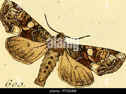 Die Ammlung europäischer Schmetterlinge, errichtet von Jakob Hner in Augsburg" (1793) Stockfoto