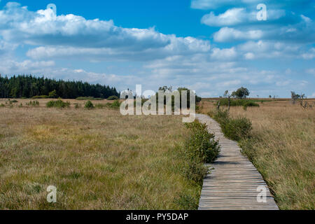 Das Hohe Venn in Belgien/Feng Belgien Stockfoto