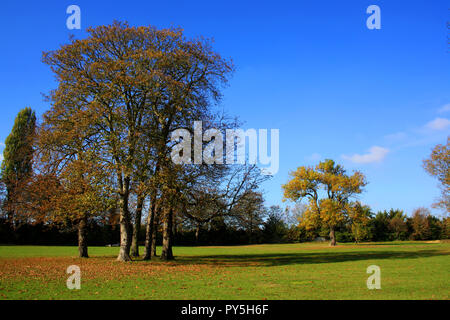 Redbridge, East London, UK. 25. Oktober 2018. Einen sonnigen, blauen Himmel Tag an Ray Lodge Park im Osten von London, UK. Credit: Helen Garvey/Alamy leben Nachrichten Stockfoto