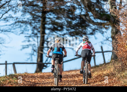 Oberried, Deutschland. 25 Okt, 2018. Zwei weibliche Mountainbiker Fahrt in der Sonne auf dem Schauinsland auf einem Waldweg. Quelle: Patrick Seeger/dpa/Alamy leben Nachrichten Stockfoto