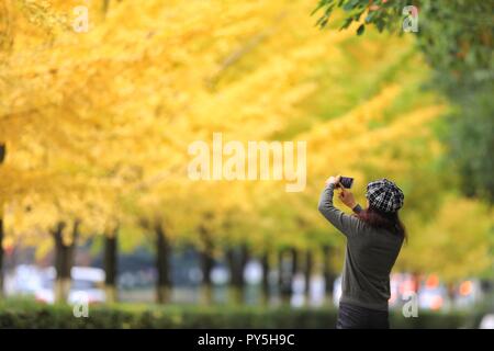 Guiyang, Provinz Guizhou Chinas. 25 Okt, 2018. Eine Frau nimmt Fotos von Ginkgo Blättern in Guiyang, Provinz Guizhou im Südwesten Chinas, Okt. 25, 2018. Credit: Liu Xu/Xinhua/Alamy leben Nachrichten Stockfoto