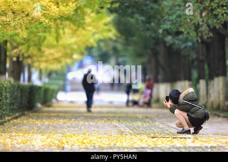 Guiyang, Provinz Guizhou Chinas. 25 Okt, 2018. Ein Mädchen nimmt Fotos von Ginkgo Blättern in Guiyang, Provinz Guizhou im Südwesten Chinas, Okt. 25, 2018. Credit: Liu Xu/Xinhua/Alamy leben Nachrichten Stockfoto