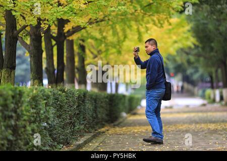 Guiyang, Provinz Guizhou Chinas. 25 Okt, 2018. Ein Mann nimmt Fotos von Ginkgo Blättern in Guiyang, Provinz Guizhou im Südwesten Chinas, Okt. 25, 2018. Credit: Liu Xu/Xinhua/Alamy leben Nachrichten Stockfoto