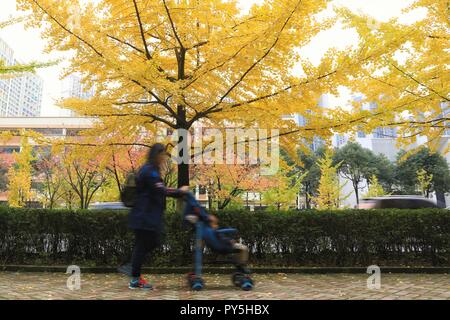 Guiyang, Provinz Guizhou Chinas. 25 Okt, 2018. Bürger unter der Ginkgobaum in Guiyang, Provinz Guizhou im Südwesten Chinas, Okt. 25, 2018. Credit: Liu Xu/Xinhua/Alamy leben Nachrichten Stockfoto