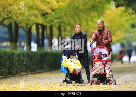 Guiyang, Provinz Guizhou Chinas. 25 Okt, 2018. Bürger unter der Ginkgobaum in Guiyang, Provinz Guizhou im Südwesten Chinas, Okt. 25, 2018. Credit: Liu Xu/Xinhua/Alamy leben Nachrichten Stockfoto