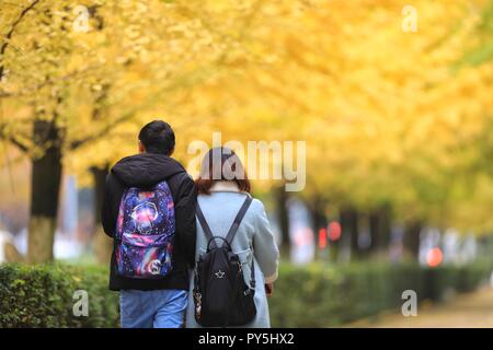 Guiyang, Provinz Guizhou Chinas. 25 Okt, 2018. Bürger unter der Ginkgobaum in Guiyang, Provinz Guizhou im Südwesten Chinas, Okt. 25, 2018. Credit: Liu Xu/Xinhua/Alamy leben Nachrichten Stockfoto