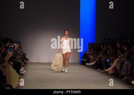 Sao Paulo, Sao Paulo, Brasilien. 25 Okt, 2018. Zwei Denin fashion show, mit der 2019 Sammlung während der N46 Edition der São Paulo Fashion Week (SPFW) Credit: Paulo Lopes/ZUMA Draht/Alamy leben Nachrichten Stockfoto