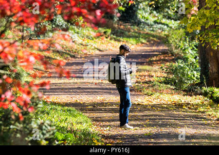 Avenham Park, Preston, Lancashire. 26. Oktober 2018. Am frühen Morgen Regen klar einen sonnigen Nachmittag und die schönen Farben des Herbstes als Menschen einen Spaziergang durch die malerische Avenham Park in Preston in Lancashire nehmen zu lassen. Credit: cernan Elias/Alamy leben Nachrichten Stockfoto