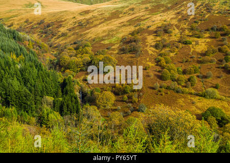 Die Hügel von wayn Rydd im Herbst in der Zentralen Brecon Beacons South Wales Stockfoto