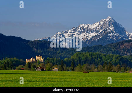 Schloss Hohenschwangau im Allgäuer, Tannheimer Berge im Hintergrund, Landkreis Ostallbräu, Bayern, Deutschland Stockfoto