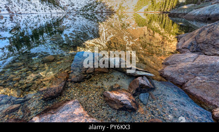 Emerald Lake Steine Mix mit perfekter Reflexionen an Emerald Lake im Rocky Mountain National Park. Stockfoto