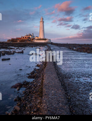 St. Mary's Leuchtturm nördlich von Whitley Bay auf der Northumbrian Küste. Die kleinen, felsigen Gezeiten Insel ist mit dem Festland durch eine kurze konkrete verbunden Stockfoto