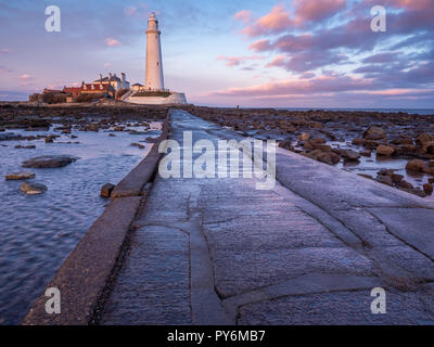 St. Mary's Leuchtturm nördlich von Whitley Bay auf der Northumbrian Küste. Die kleinen, felsigen Gezeiten Insel ist mit dem Festland durch eine kurze konkrete verbunden Stockfoto