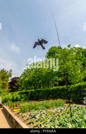 Eine künstliche Raubvogel pest Scarer über der ordentlichen Reihen von Gemüse an der RHS Garden Rosemoor, Devon, England, Großbritannien Stockfoto