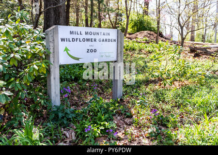 Roanoke, USA - 18. April 2018: Mill Mountain Park in Virginia im Frühjahr mit Zeichen für Zoo, Wildblumen Garten, niemand Stockfoto