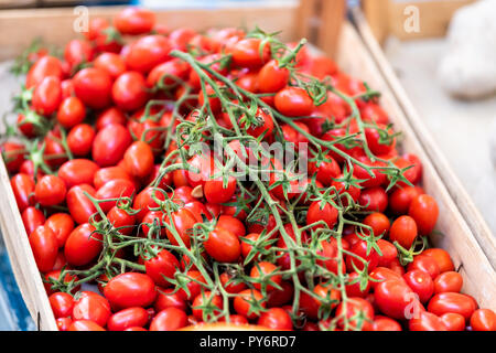 Nahaufnahme von Viele reife rote, kleine Tomaten auf Anzeige Farmers Market shop shop Lebensmittelgeschäft Italien in Holzkiste oder Box Stockfoto