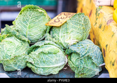 Nahaufnahme von vielen Savoy Kopfkohl runde Kohl Gemüse roh ganz grün auf Anzeige in Farmers Market in Italien mit italienischen Zeichen, Preis pro Kilogramm Stockfoto