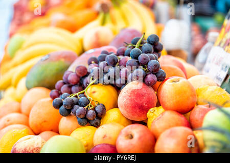 Nahaufnahme von frischen Reifen, violett, orange und gelb, Nektarinen, Pfirsiche, Orangen, Mangos, Trauben in Street Market Anzeige in Italien im Sommer Stockfoto