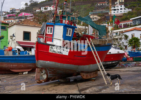 Schönen roten Fischerboot Alfonsinho in Câmara de Lobos, Madeira Stockfoto