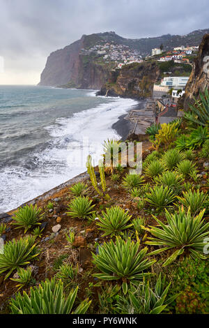 Blick auf Kap Girão mit Kaktus auf den Vordergrund in Camara de Lobos, Madeira Stockfoto