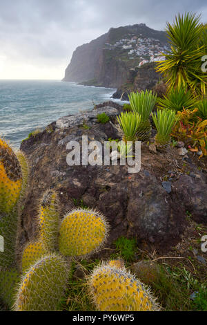 Blick auf Kap Girão mit Kaktus auf den Vordergrund in Camara de Lobos, Madeira Stockfoto