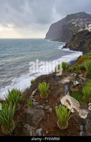 Blick auf Kap Girão mit Kaktus auf den Vordergrund in Camara de Lobos, Madeira Stockfoto