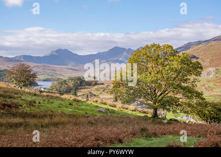 Herbst und den Snowdon Horseshoe reichen von oben Capel Curig, Snowdonia National Park, North Wales, UK Stockfoto