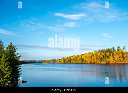 Herbstfarben, Herbst Farben entlang der St. John River, New Brunswick, Kanada Stockfoto
