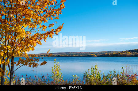 Herbstfarben, Herbst Farben entlang der St. John River, New Brunswick, Kanada Stockfoto