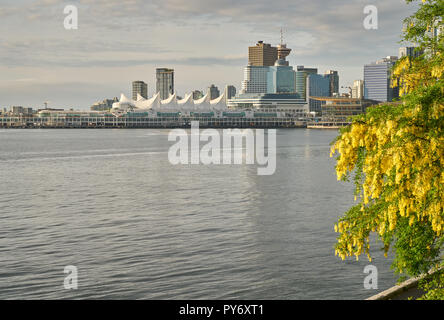 Canada Place Convention Center, Vancouver. Vancouver City Centre und Convention Center bei Sonnenaufgang. British Columbia, Kanada. Stockfoto