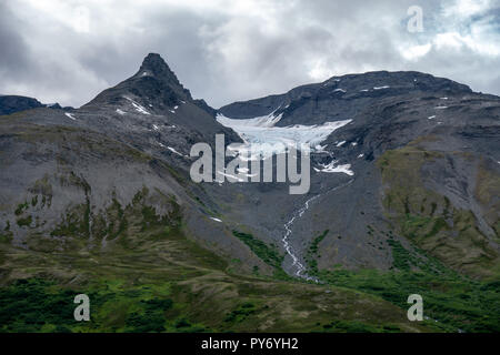 Abgelegenen Wildnis umgibt, in der Nähe von Worthington Glacier Valdez Alaska entlang der Richardson Highway Stockfoto