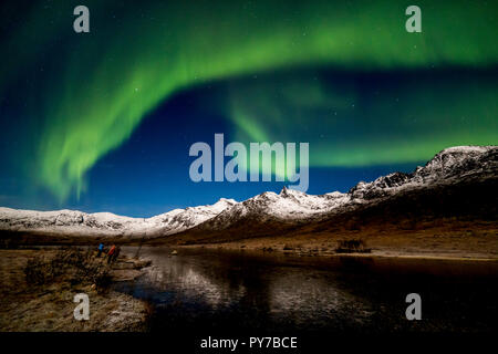 Aurora borealis, Northern Lights, aktive, farbigen Vorhängen, coronas, über Nacht Himmel, Polarkreis, Kvaloya, Insel, Troms, Tromso, Norwegen Stockfoto