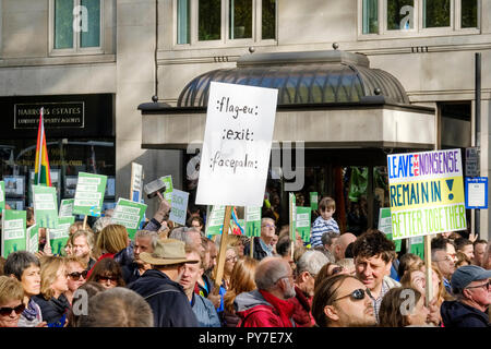 Anmelden computer Code lesen': flag-eu:: exit:: FACEPALM:', in Masse nach unten marschieren die Park Lane. Andere Zeichen lesen ist bis 'stehende für Demokratie", verlassen. Stockfoto