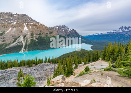 Peyto Lake Gletschersee im Banff National Park, Alberta, Kanada Stockfoto