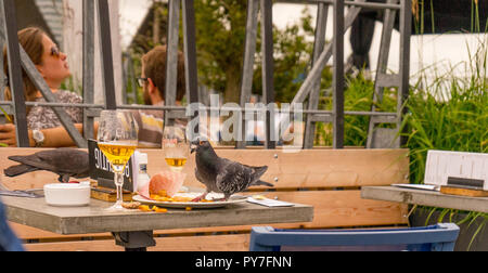Rotterdam, Niederlande - 16 Juli, 2016: Taube Essen Pommes Frites aus einer Platte in einem Restaurant neben der Erasmusbrücke in Rotterdam. Stockfoto