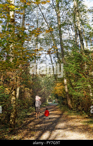 Vater und Kinder entlang eine Spur in Pacific Spirit Park und Naturreservat, Vancouver, BC, Kanada Stockfoto